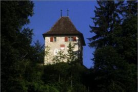 Schloss Buchegg Sicht vom Limpachtal
